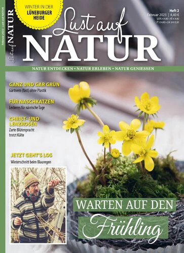 Vorschaubild 1