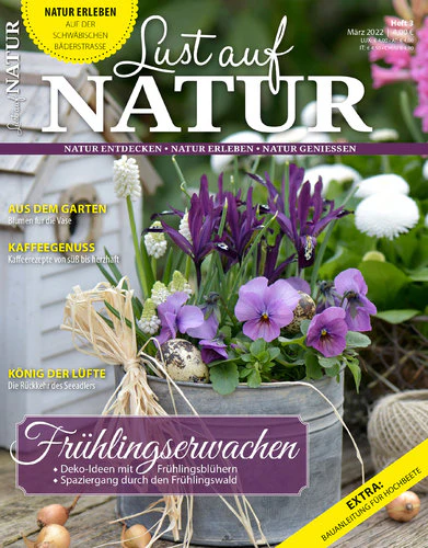 Vorschaubild 1