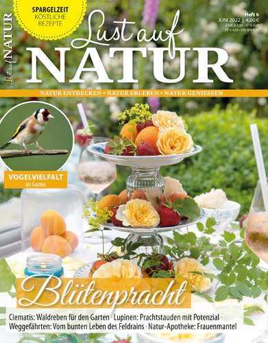 Vorschaubild 1